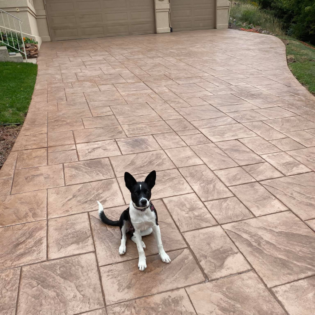 StampedColored Driveway franchise times